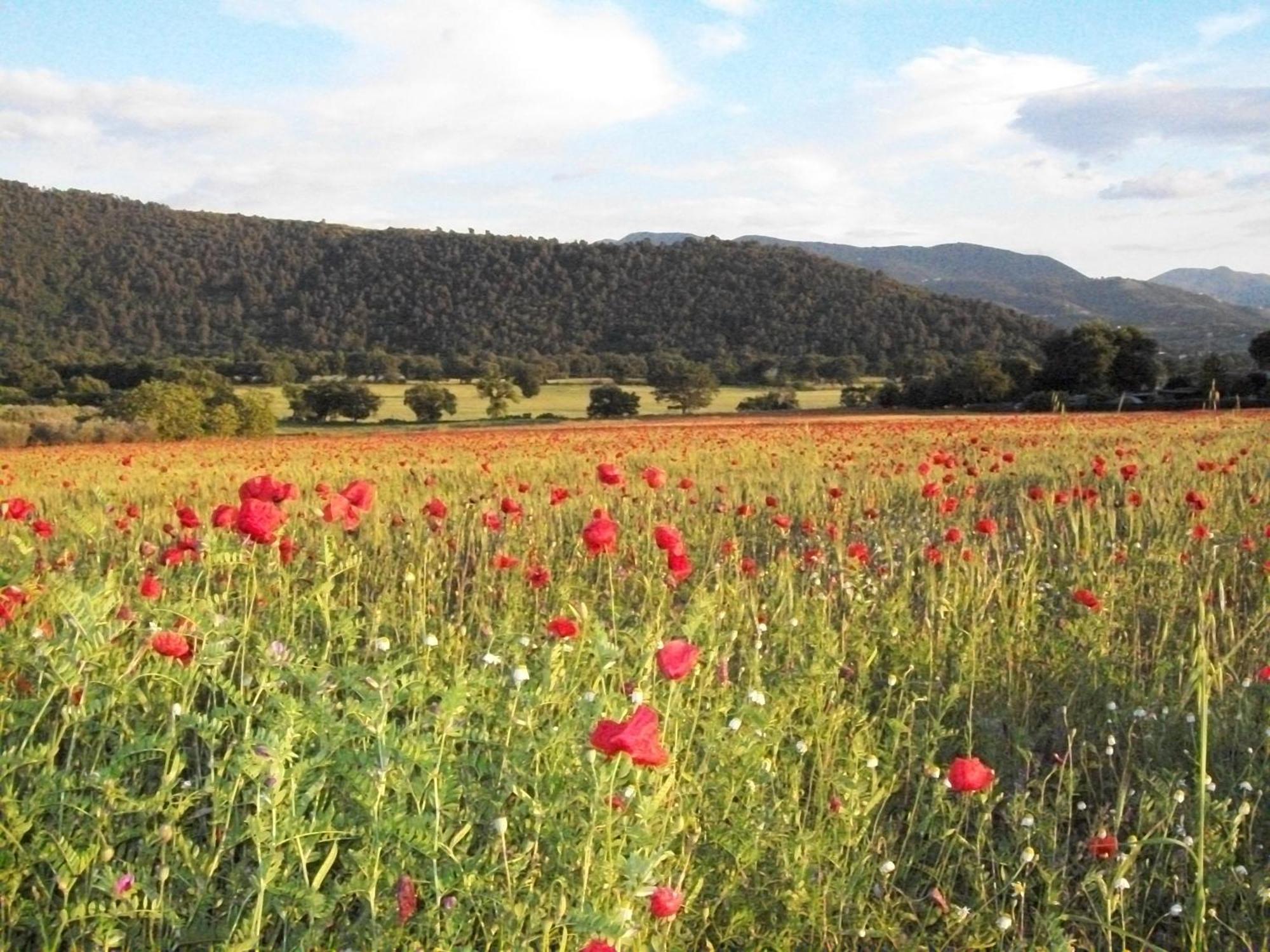 Agriturismo Il Casalino Spoleto Buitenkant foto